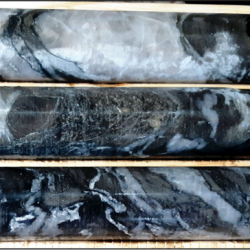 fzonemineralization