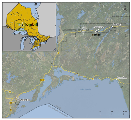 tombill 08082025